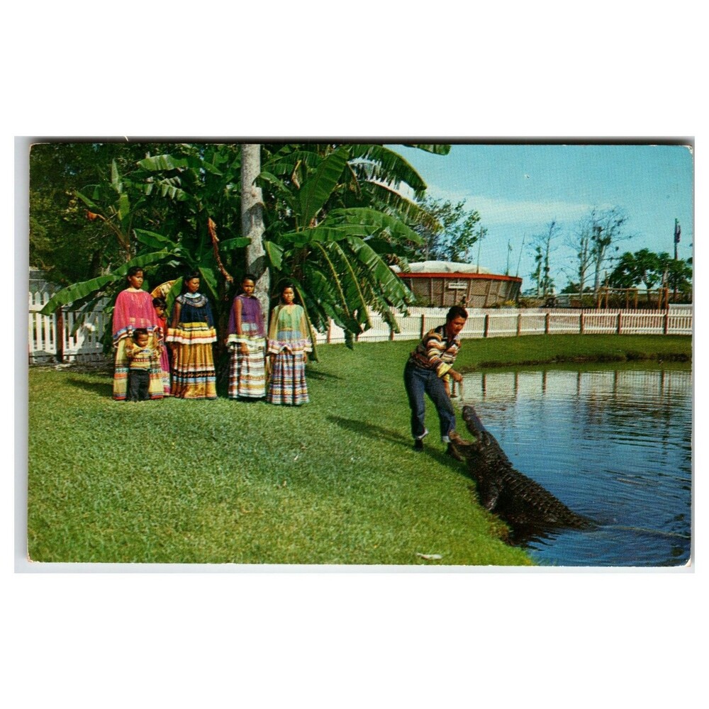 Vintage Seminole Indians Alligator Feeding Aquaglades Everglades FL Postcard